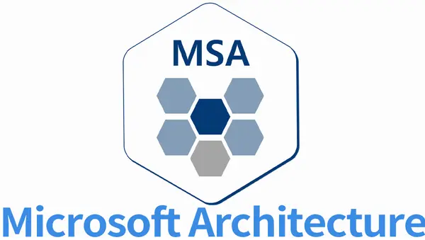 MSA 적응기 - 3(결론) 썸네일